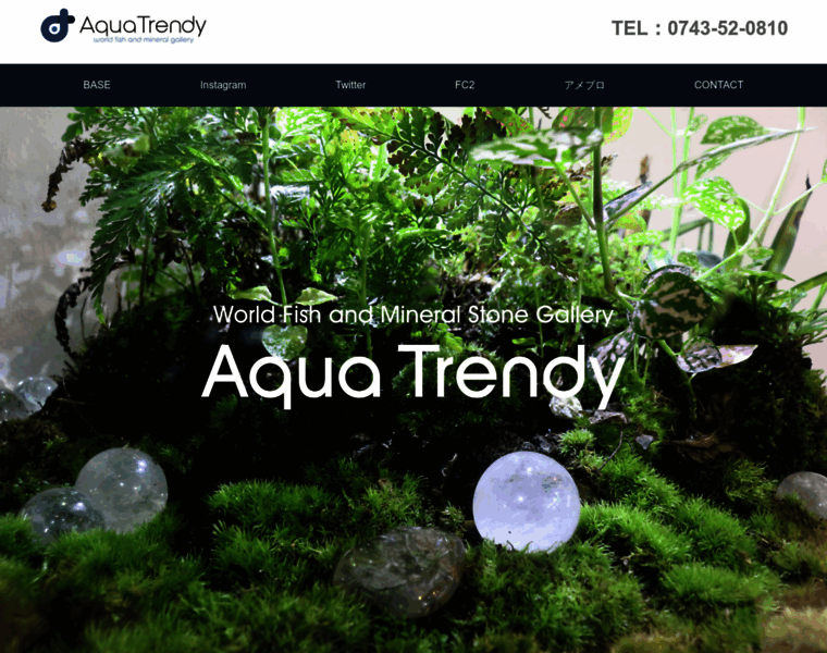 Aquatrendy.com thumbnail
