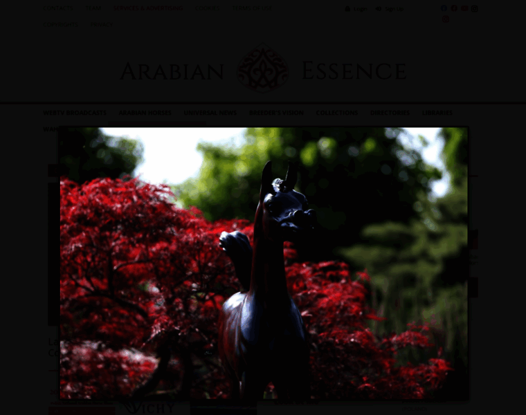 Arabianessence.com thumbnail