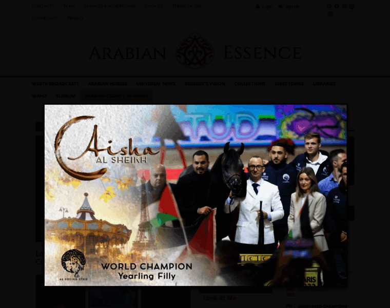 Arabianessence.tv thumbnail