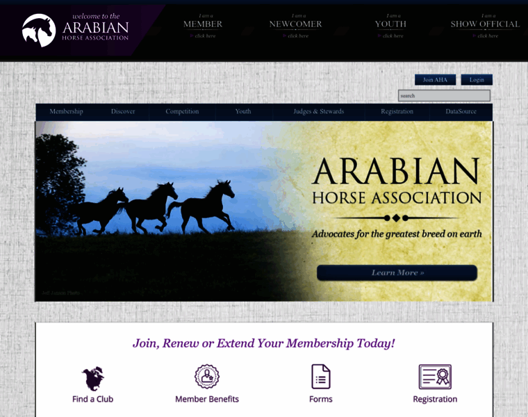 Arabianhorses.org thumbnail