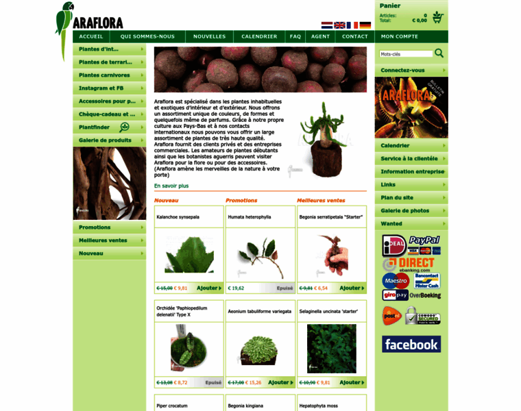 Araflora.fr thumbnail