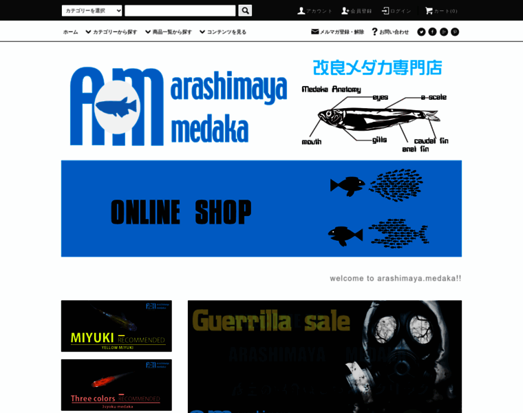 Arashiamya-medaka.com thumbnail