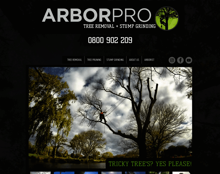 Arborpro.co.nz thumbnail