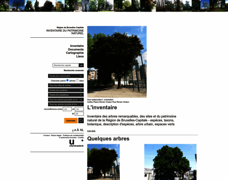 Arbres-inventaire.irisnet.be thumbnail