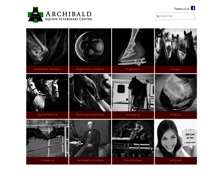 Archibald-equine-veterinary-clinic.com thumbnail