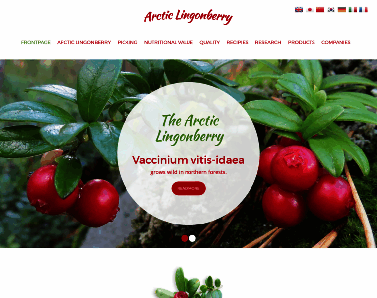 Arcticlingonberry.fi thumbnail