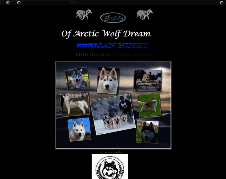 Arcticwolfdream.com thumbnail