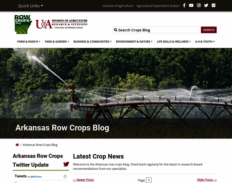 Arkansas-crops.com thumbnail