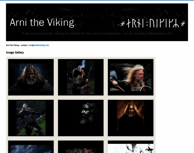 Arnitheviking.com thumbnail