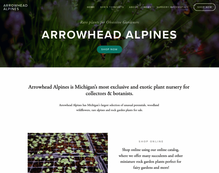 Arrowhead-alpines.com thumbnail