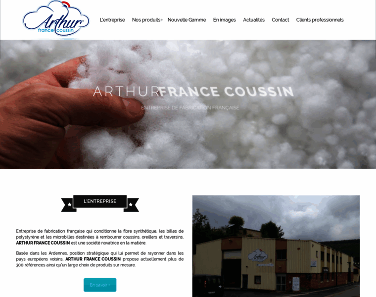 Arthur-fibre-coussin.fr thumbnail