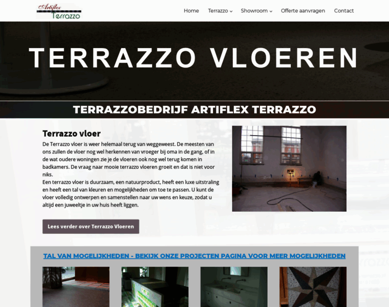 Artiflex-terrazzo.nl thumbnail
