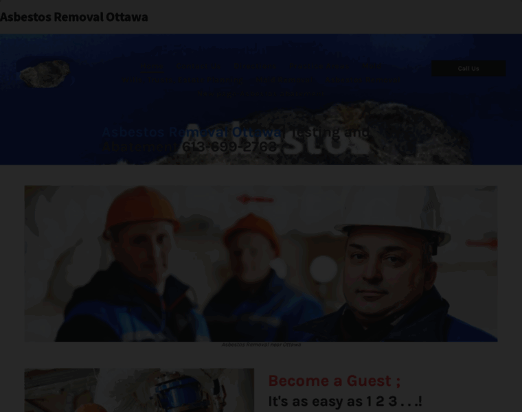 Asbestosottawa.ca thumbnail