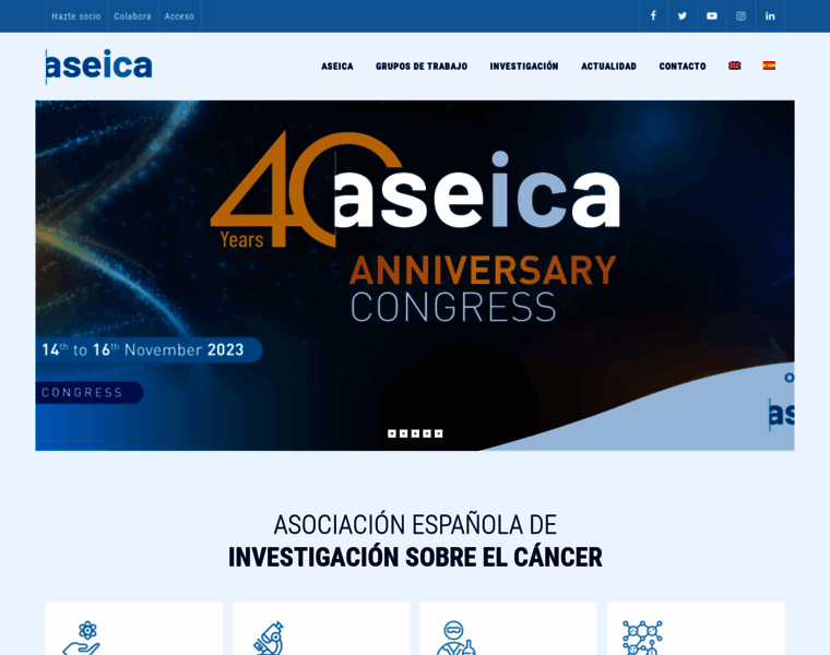 Aseica.com thumbnail