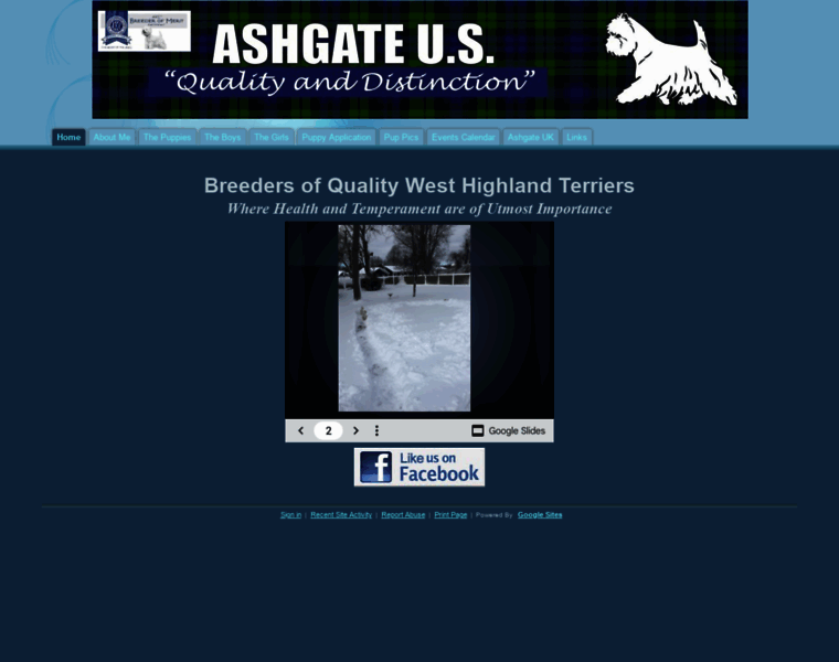 Ashgateus.com thumbnail