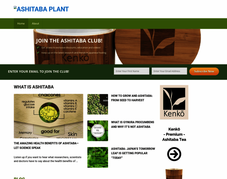 Ashitabaplant.com thumbnail