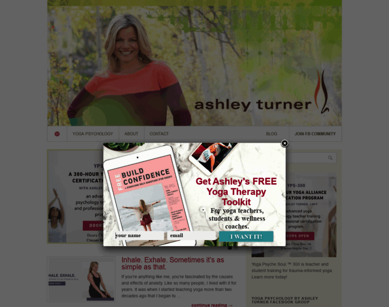 Ashleyturner.org thumbnail