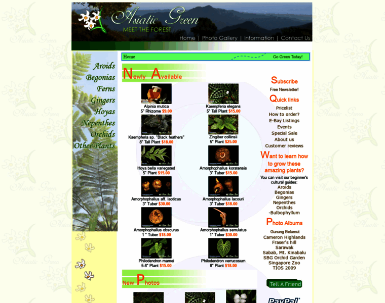 Asiaticgreen.com thumbnail