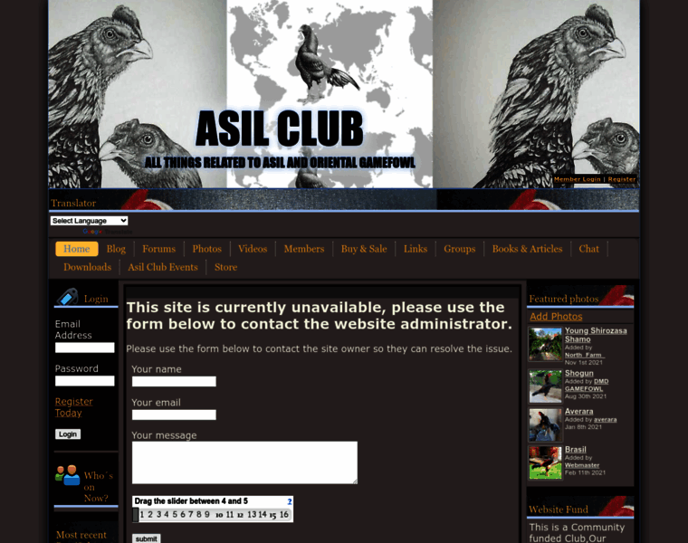 Asilclub.spruz.com thumbnail