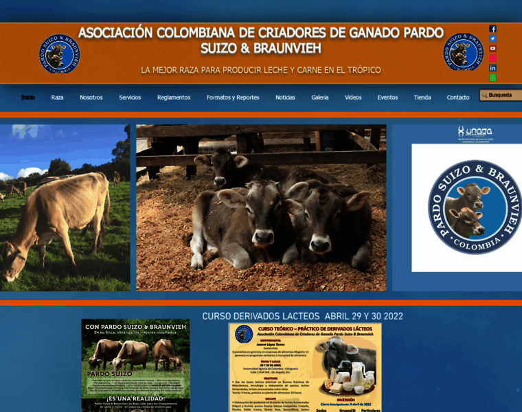 Asopardocolombia.co thumbnail