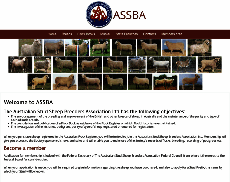 Assba.com.au thumbnail
