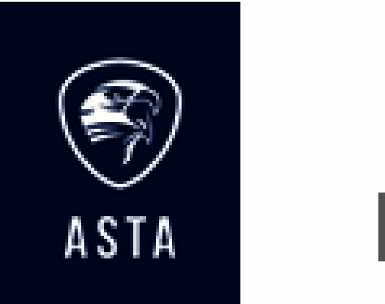 Asta-webshop.de thumbnail