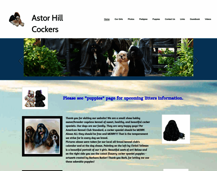 Astorhillcockers.com thumbnail