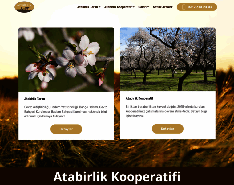 Atabirlik.com thumbnail