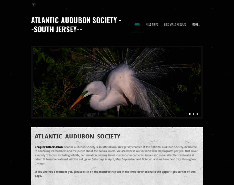 Atlanticaudubonsociety.com thumbnail