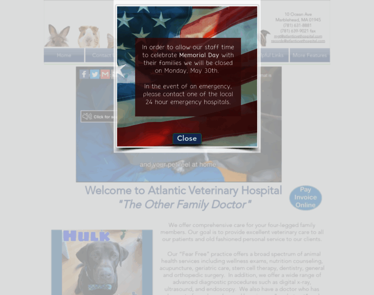 Atlanticveterinaryhospital.com thumbnail