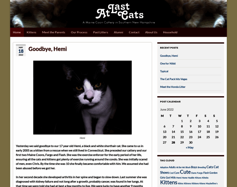 Atlastcats.com thumbnail