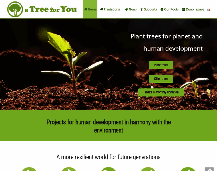 Atreeforyou.org thumbnail Atreeforyou.org thumbnail
