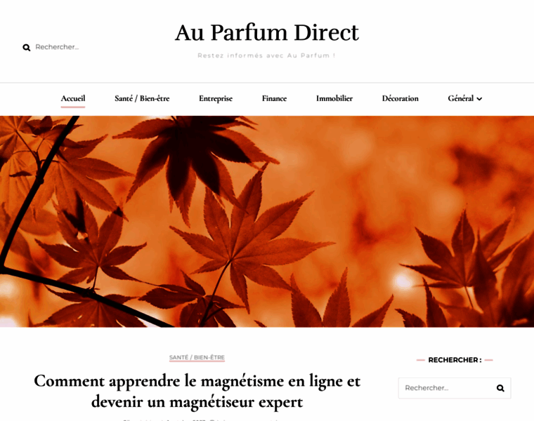 Au-parfum-direct.net thumbnail