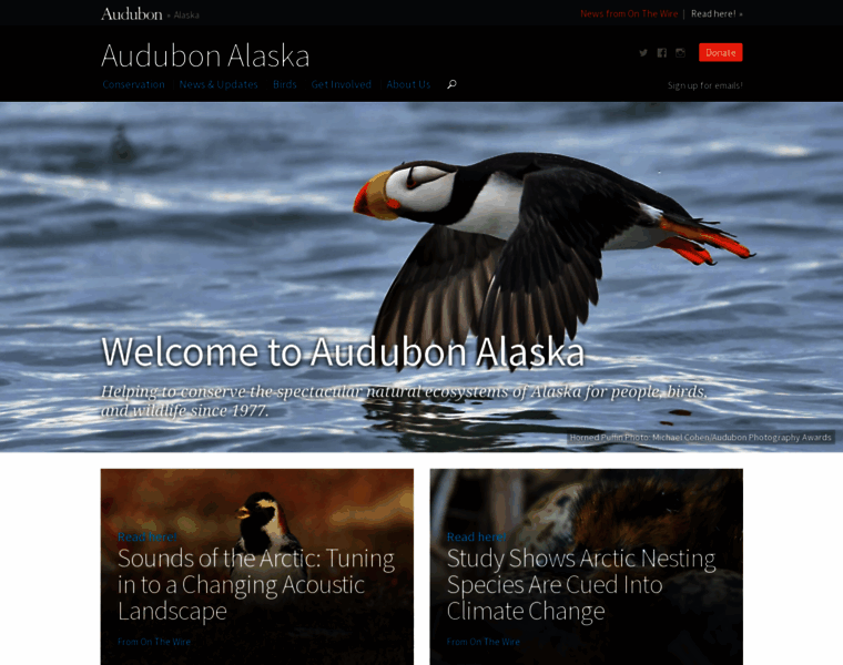 Audubonalaska.org thumbnail