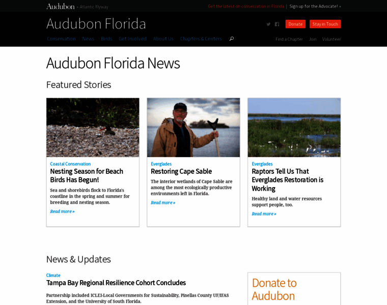 Audubonoffloridanews.com thumbnail