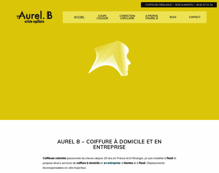 Aurelb.fr thumbnail