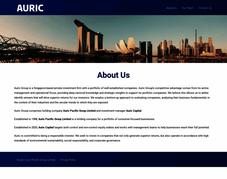 Auricgroup.com thumbnail
