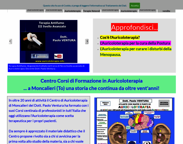 Auricoloterapia.info thumbnail