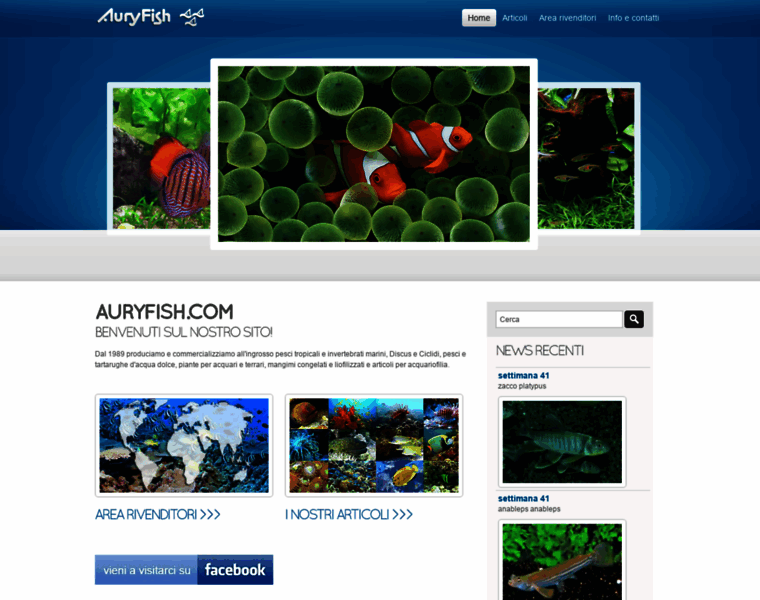 Auryfish.com thumbnail