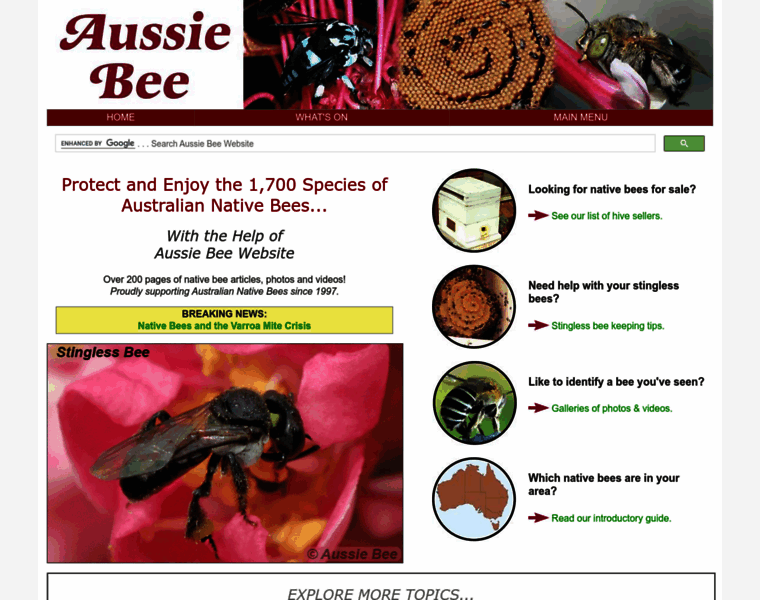 Aussiebee.com.au thumbnail