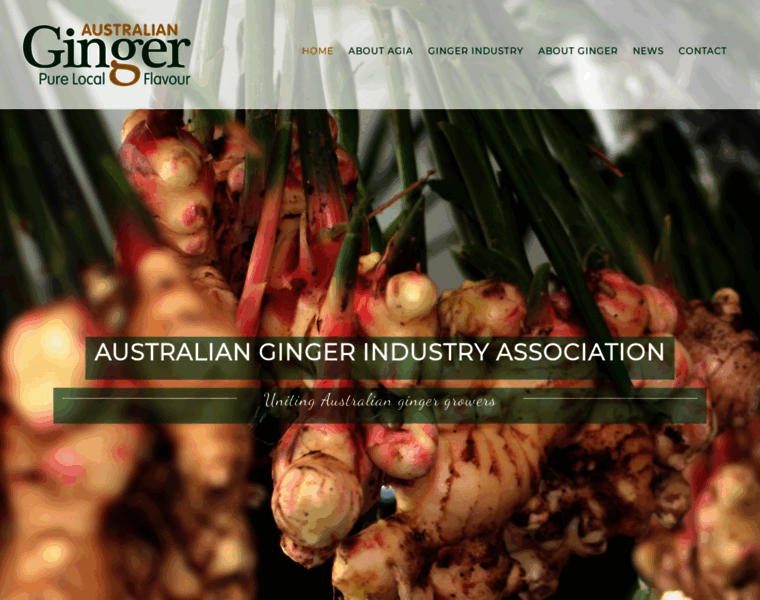 Australianginger.org.au thumbnail