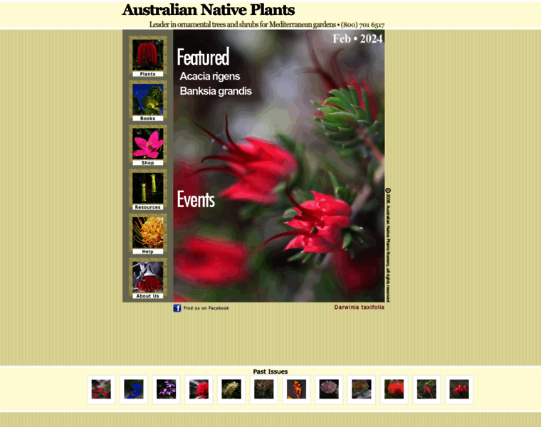 Australianplants.com thumbnail