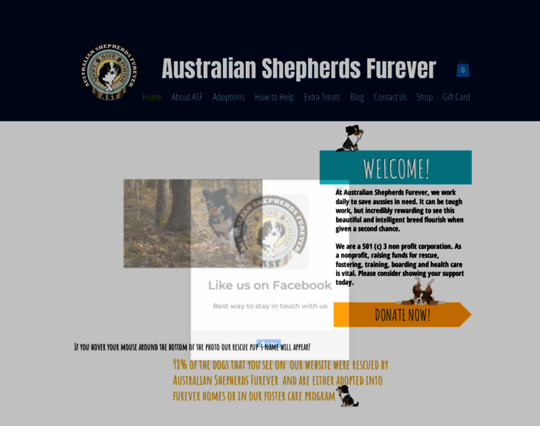 Australianshepherdsfurever.org thumbnail