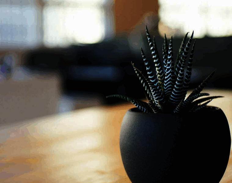 Autofin.ro thumbnail