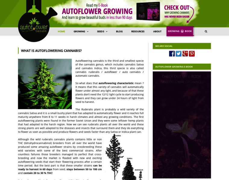 Autoflowering-cannabis.com thumbnail