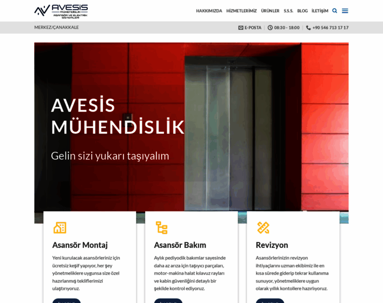 Avesis.com.tr thumbnail