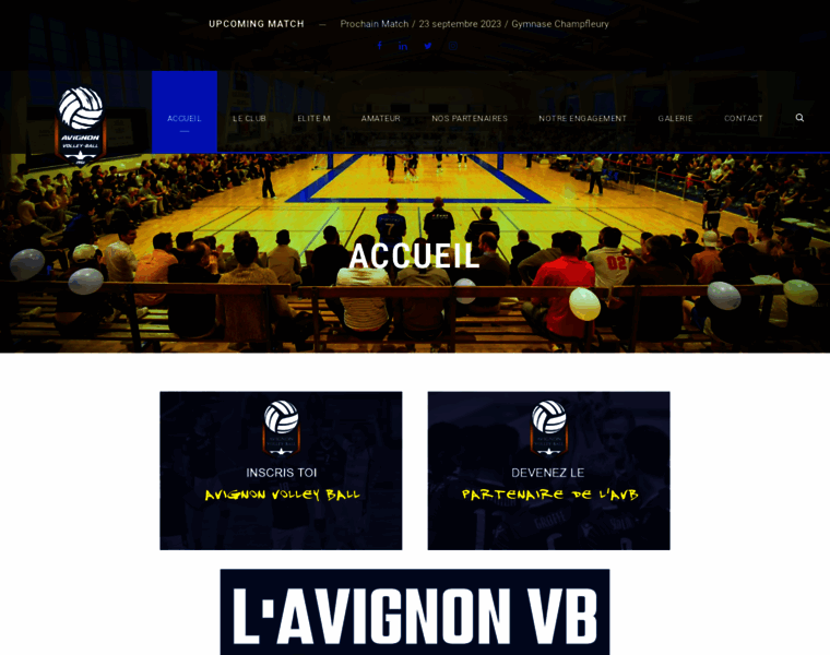 Avignonvolleyball.fr thumbnail