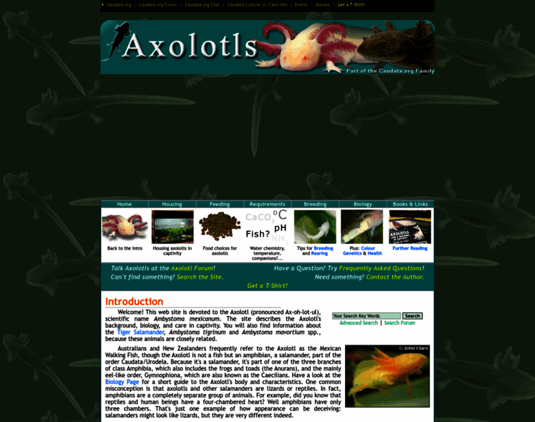 Axolotl.org thumbnail