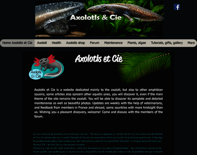 Axolotls-cie.com thumbnail