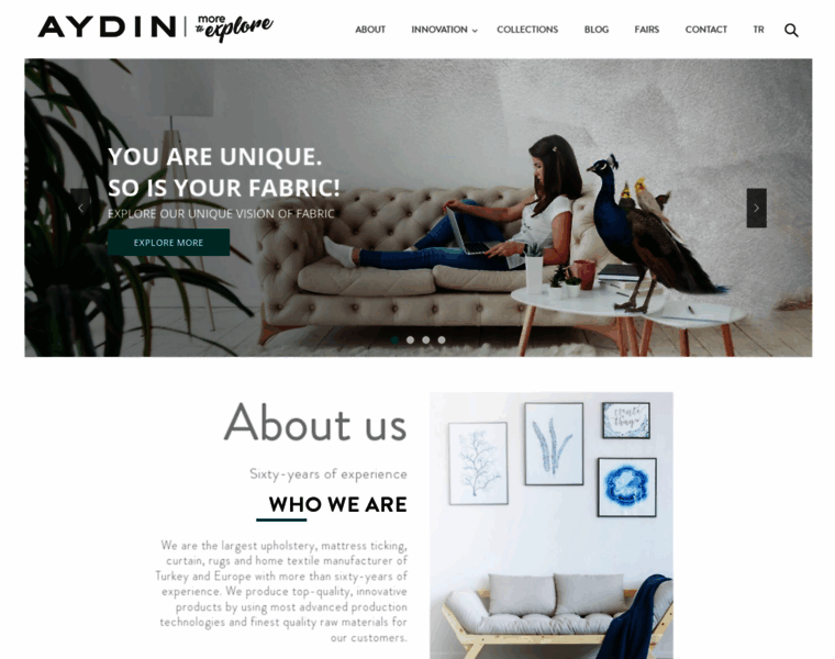 Aydintekstil.com thumbnail Aydintekstil.com thumbnail